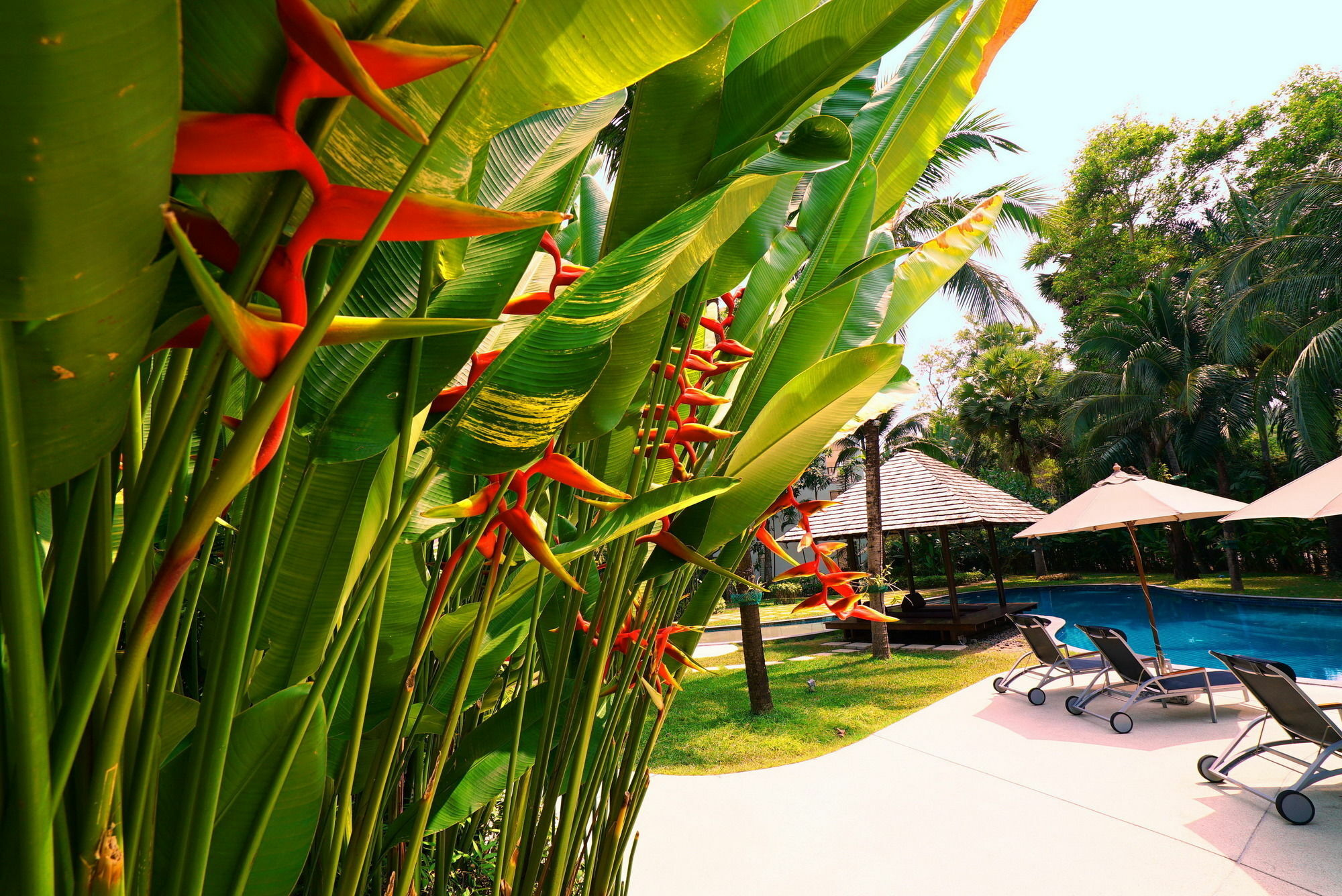 Casuarina Shores Apartment - Sha Plus Bang Tao Beach  Exterior photo