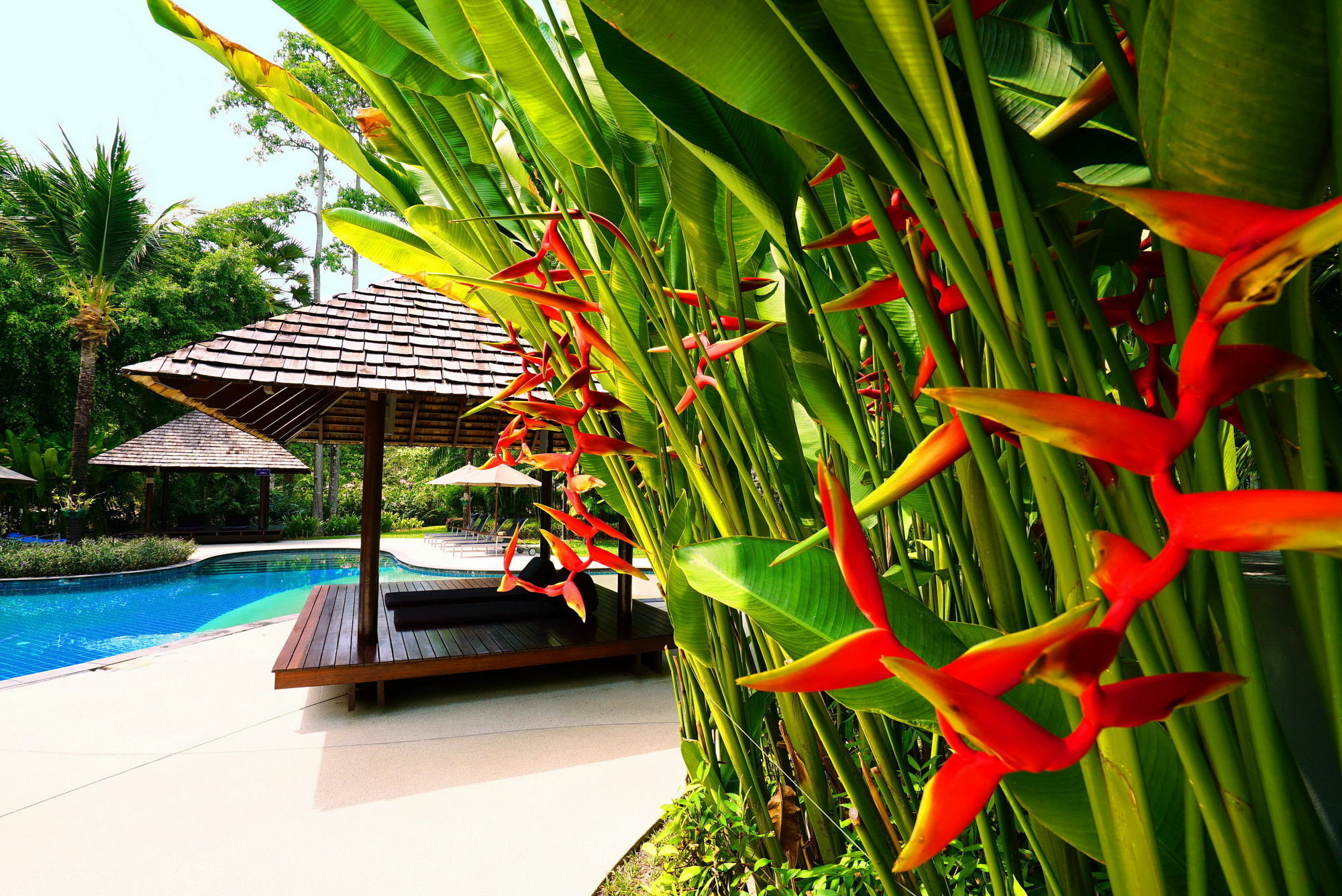Casuarina Shores Apartment - Sha Plus Bang Tao Beach  Exterior photo